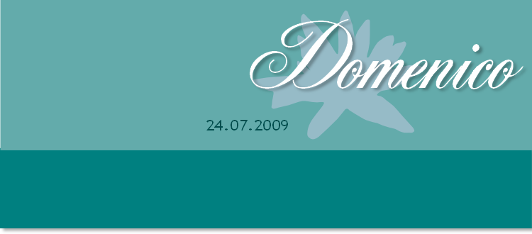 24.07.2009